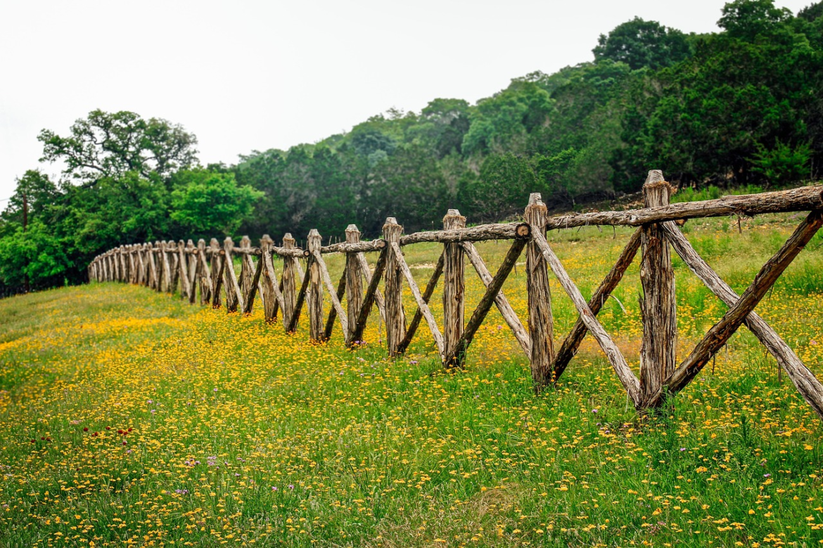 Places To Visit In Texas