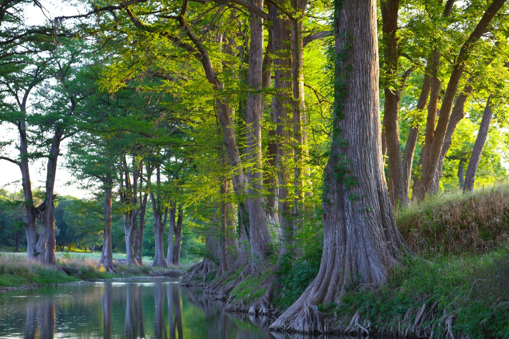 Hill Country, Texas