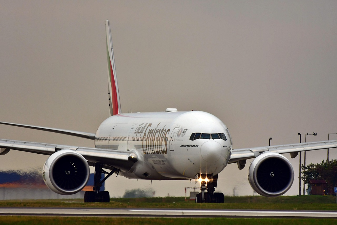 Private Airlines That Allow Dogs