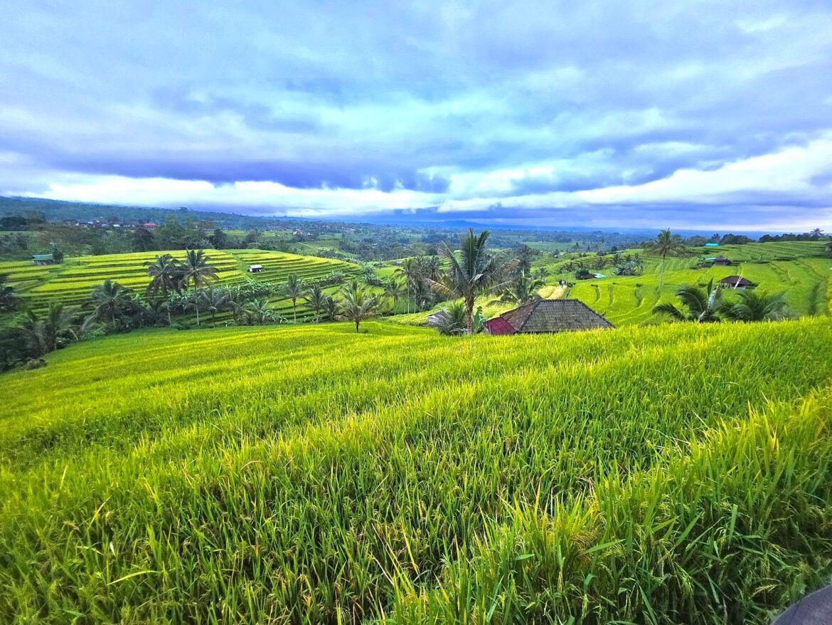 bali-travel-guide-hero