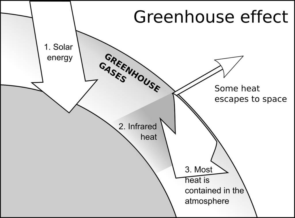 The Greenhouse Effect